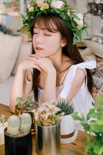 斗破苍穹年番免费观看高清版