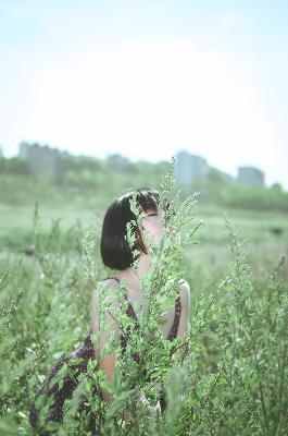 会长是女仆大人动漫完整版