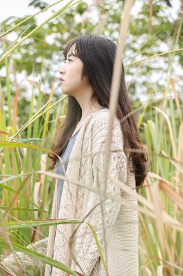 三生三世十里桃花