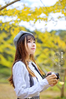 书卷一梦电视剧免费观看完整版