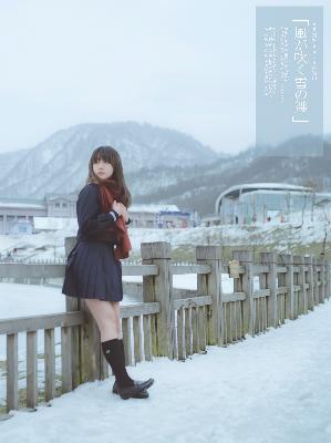 2026新澳正版资科免费资本