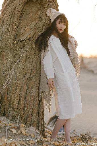 喜羊羊与灰太狼