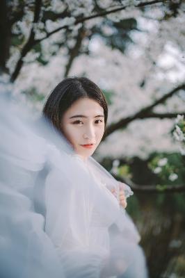 暗潮缉凶电视剧免费观看全集高清版