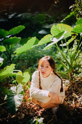 雪豹电视剧全集免费观看完整版