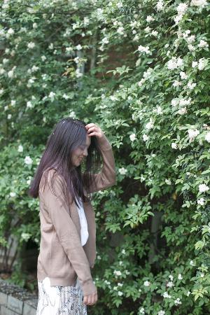 天才基本法电视剧免费观看