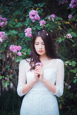 在线观看国产高清电视剧免费