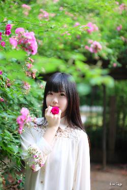 青楼十二房在线观看免费版电视剧全集